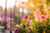 3 Easy Tips for Successful Container Gardening