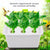 6 Holes Hydroponic System Indoor Gardening Kit