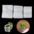 Seedlings Bags pack of 100