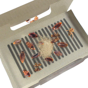 Cockroach Glue Traps 12 Pack