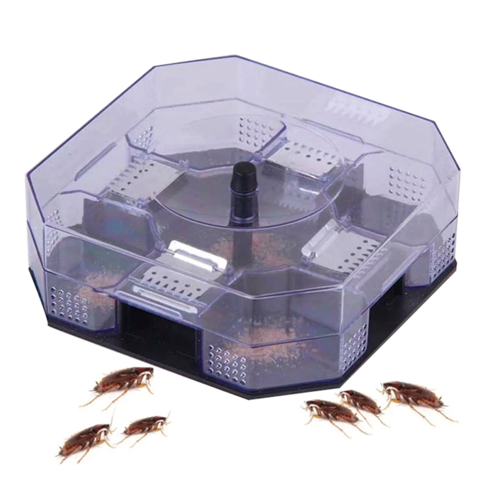 Everything You Need To Know About The Cockroach Traps, 54% OFF