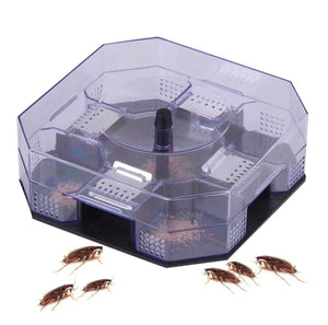 Reusable Cockroach Trap Semi-Clear Top