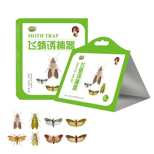 Moth Glue Traps - 5 pcs